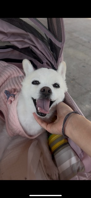 정룽지의 추모 사진