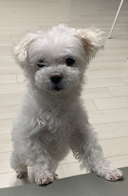 최가을의 추모 사진