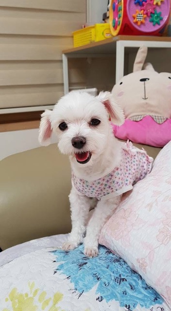이하늘의 추모 사진