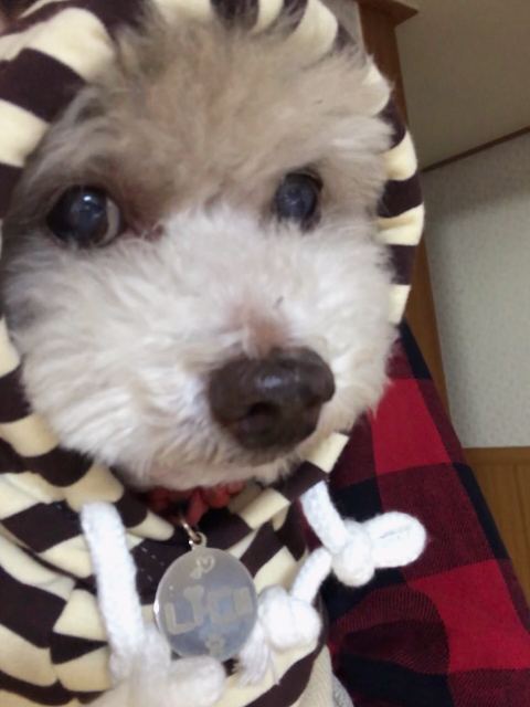 나대의 추모 사진